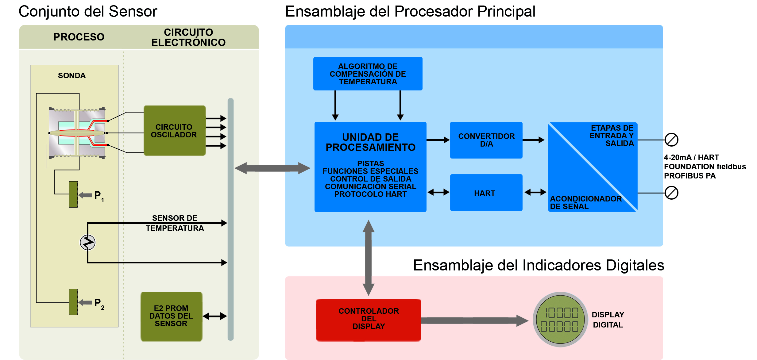 Diagrama de bloques - Serie DT300 - Transmisores de densidad