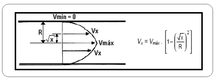 Figure 2: Velocity profiles in laminar regime.