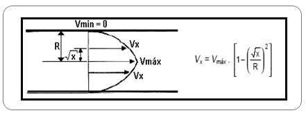 Figura 2: Perfil de velocidad en regime laminar