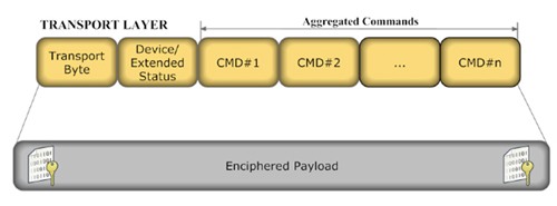 Figura 11 – Estrutura TPDU do WirelessHART